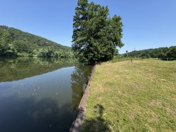 Mainschwimmen Juni 2026